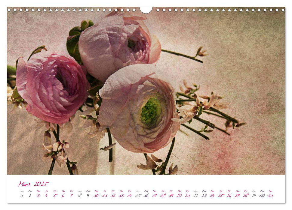 Momente in Rosa (CALVENDO Wandkalender 2025)