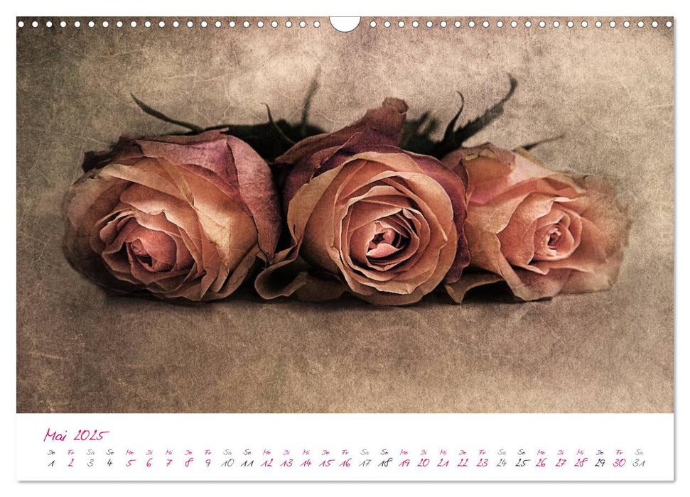 Momente in Rosa (CALVENDO Wandkalender 2025)