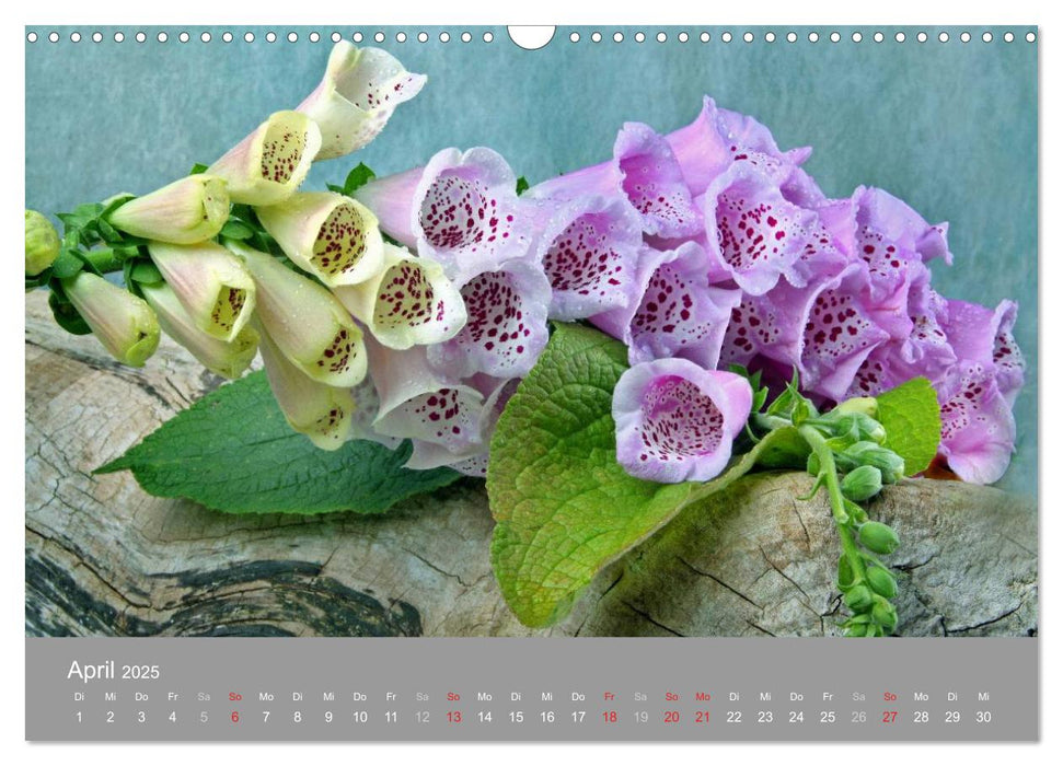 Floral (CALVENDO Wandkalender 2025)