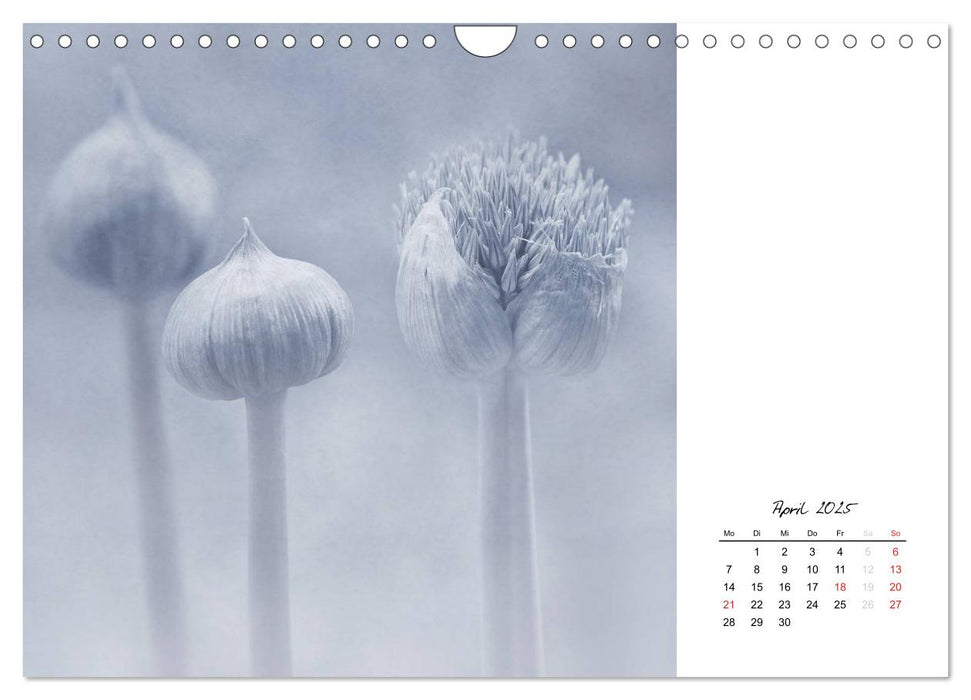 Kalender 2025 (CALVENDO Wandkalender 2025)