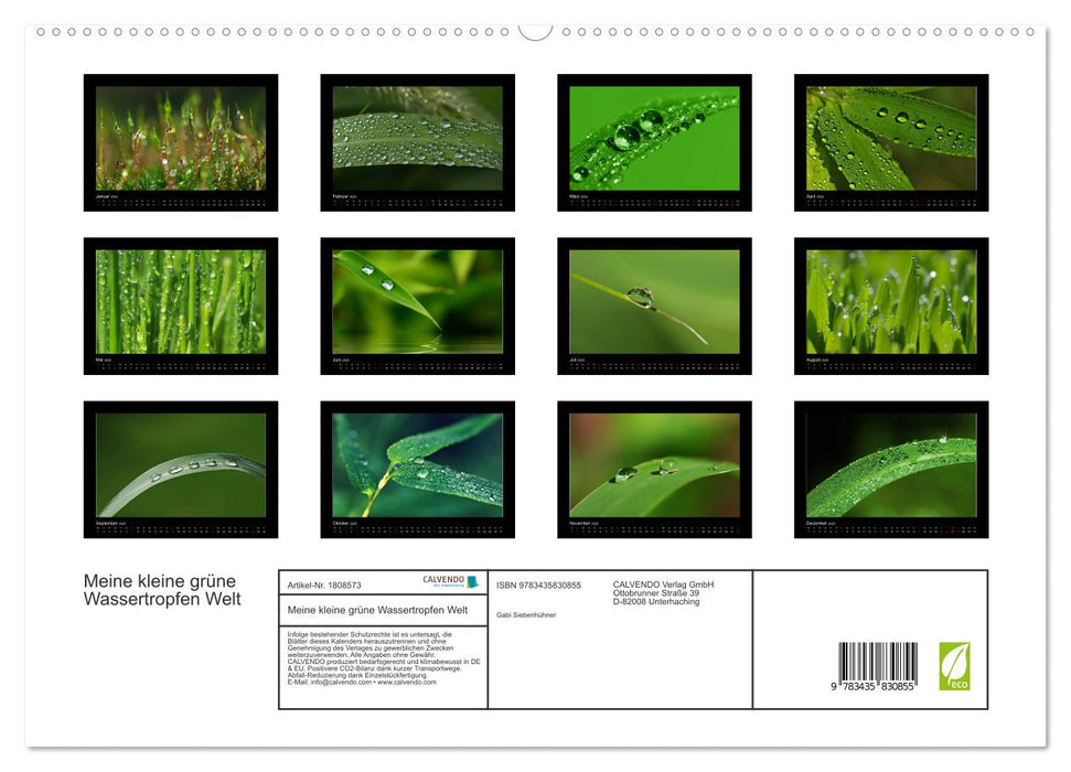 Meine kleine grüne Wassertropfen Welt (CALVENDO Premium Wandkalender 2025)