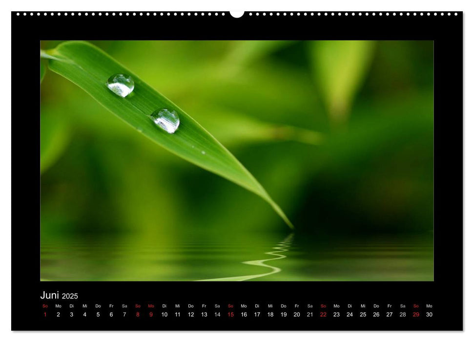 Meine kleine grüne Wassertropfen Welt (CALVENDO Premium Wandkalender 2025)