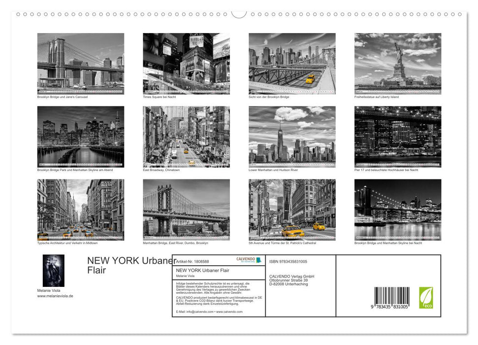 NEW YORK Urbaner Flair (CALVENDO Premium Wandkalender 2025)