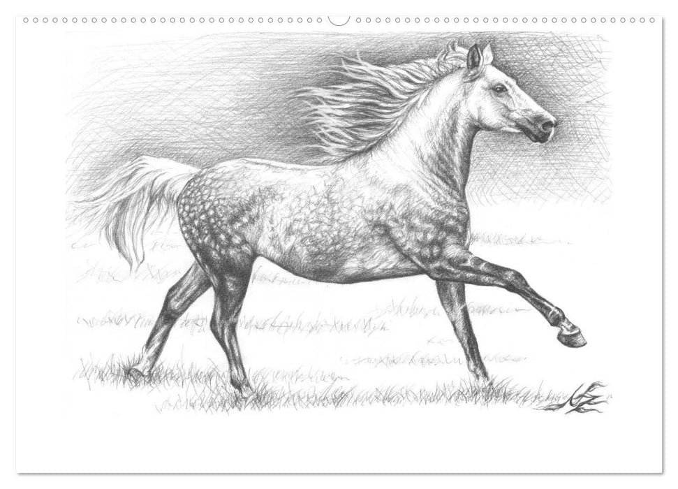 Arts & Horses (CALVENDO Wandkalender 2025)