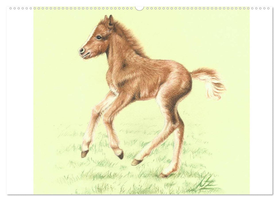 Arts & Horses (CALVENDO Wandkalender 2025)