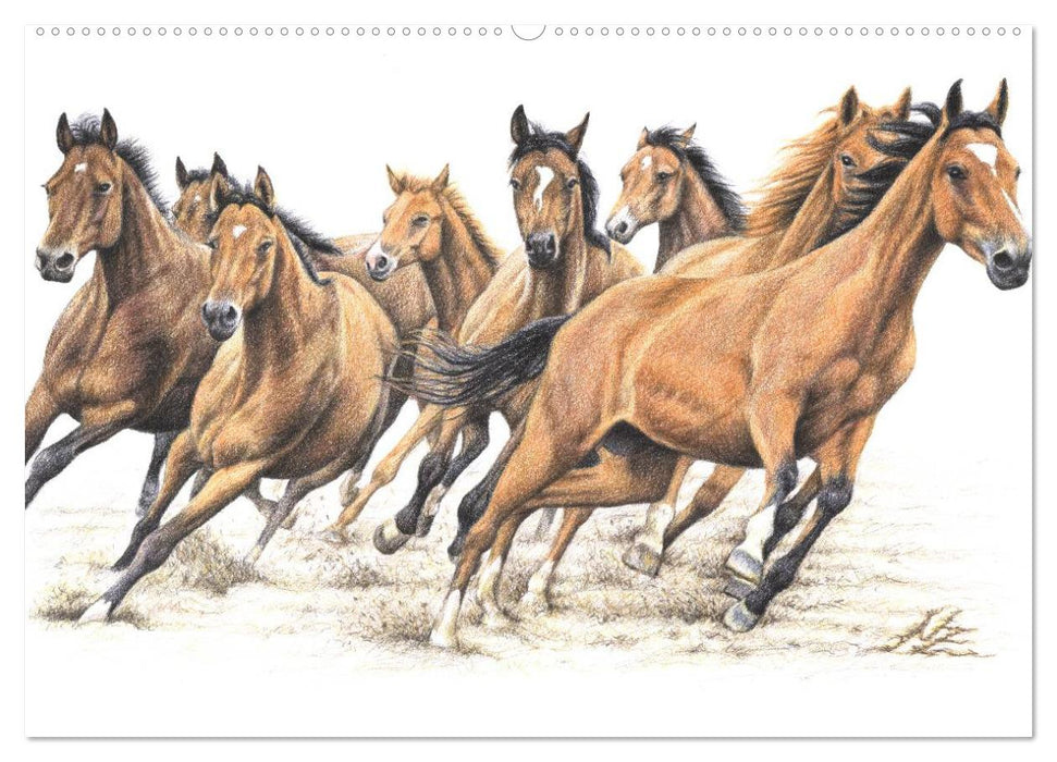 Arts & Horses (CALVENDO Wandkalender 2025)