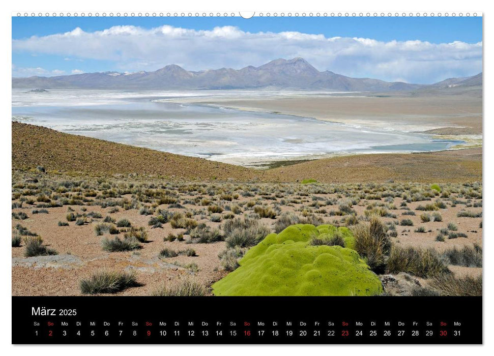 El Norte de Chile - Nordchile (CALVENDO Wandkalender 2025)