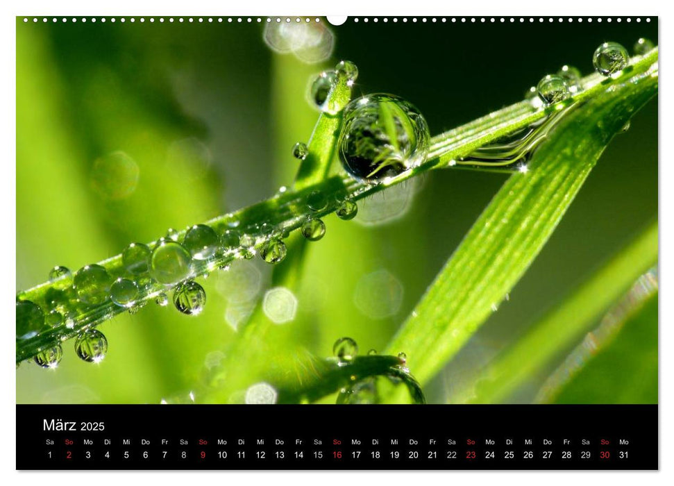 Kalender (CALVENDO Premium Wandkalender 2025)