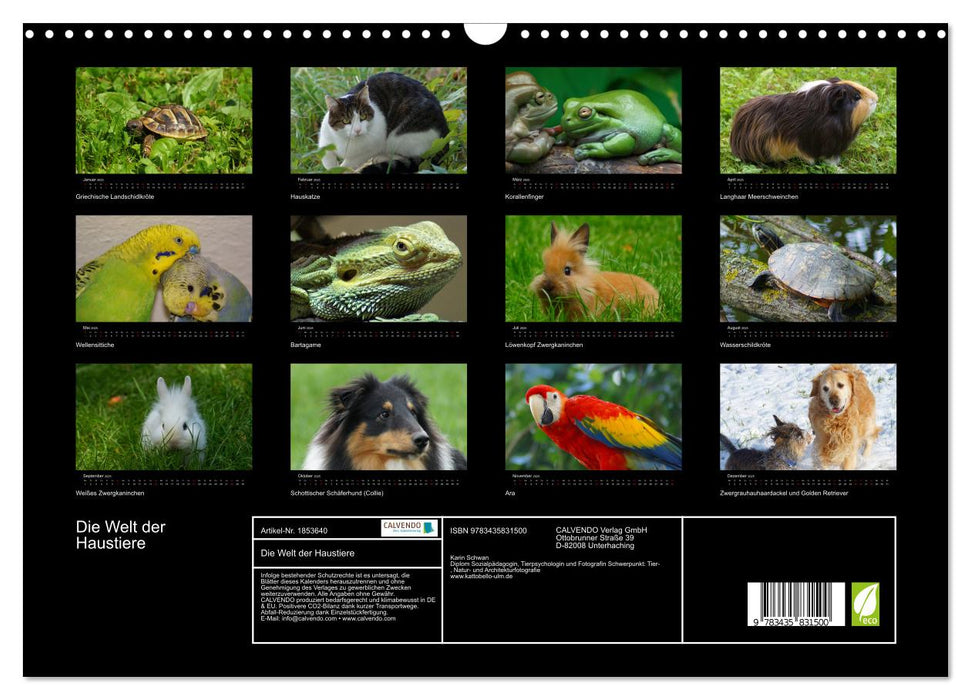 Die Welt der Haustiere (CALVENDO Wandkalender 2025)