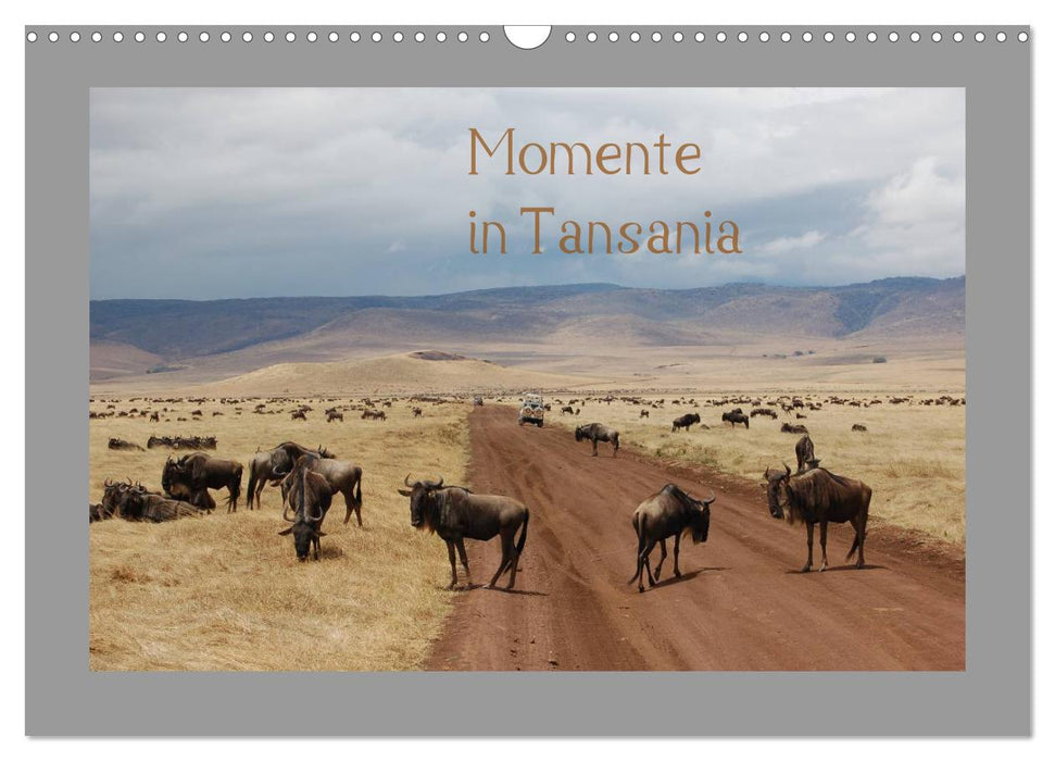 Momente in Tansania (CALVENDO Wandkalender 2025)