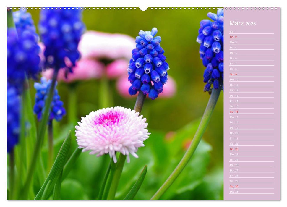 Blumenfreude (CALVENDO Premium Wandkalender 2025)