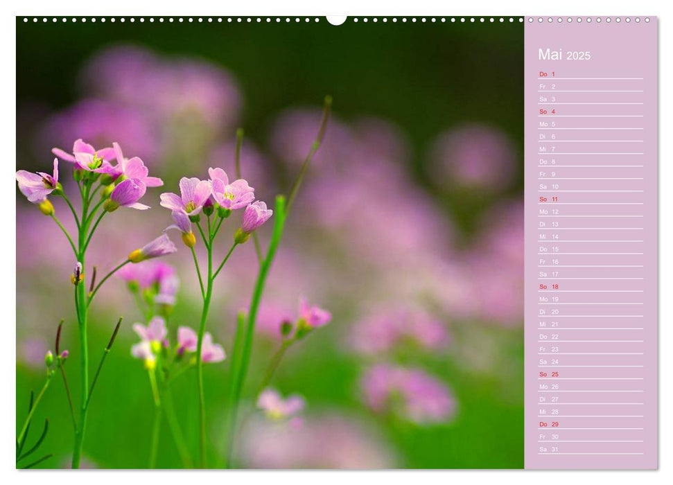 Blumenfreude (CALVENDO Premium Wandkalender 2025)