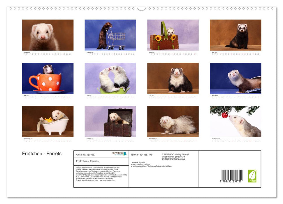 Frettchen - Ferrets (CALVENDO Premium Wandkalender 2025)