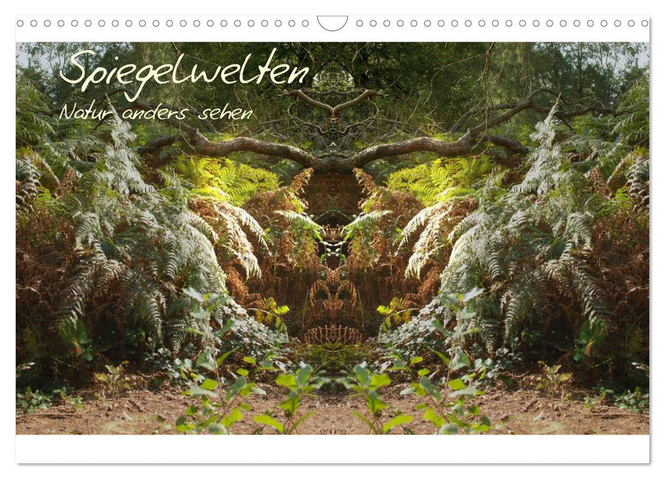 Spiegelwelten - Natur anders sehen (CALVENDO Wandkalender 2025)