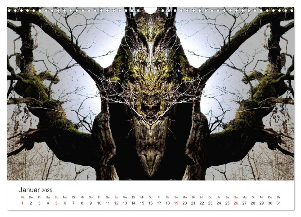 Spiegelwelten - Natur anders sehen (CALVENDO Wandkalender 2025)