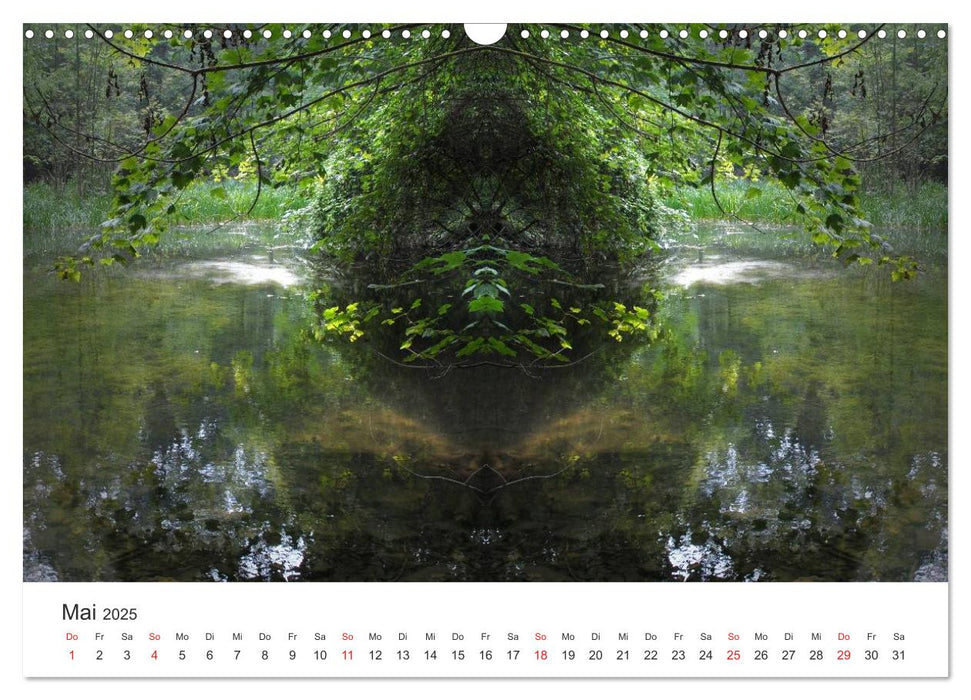 Spiegelwelten - Natur anders sehen (CALVENDO Wandkalender 2025)