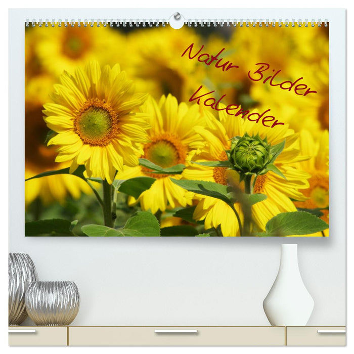 Natur Bilder Kalender (CALVENDO Premium Wandkalender 2025)