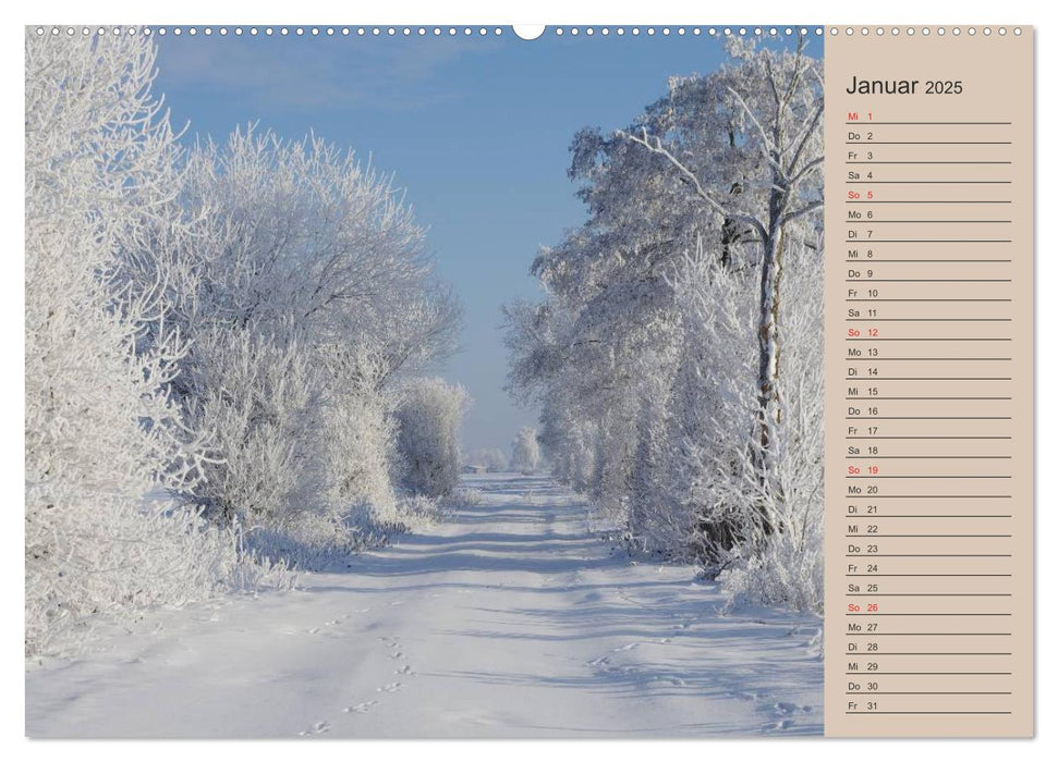 Natur Bilder Kalender (CALVENDO Premium Wandkalender 2025)