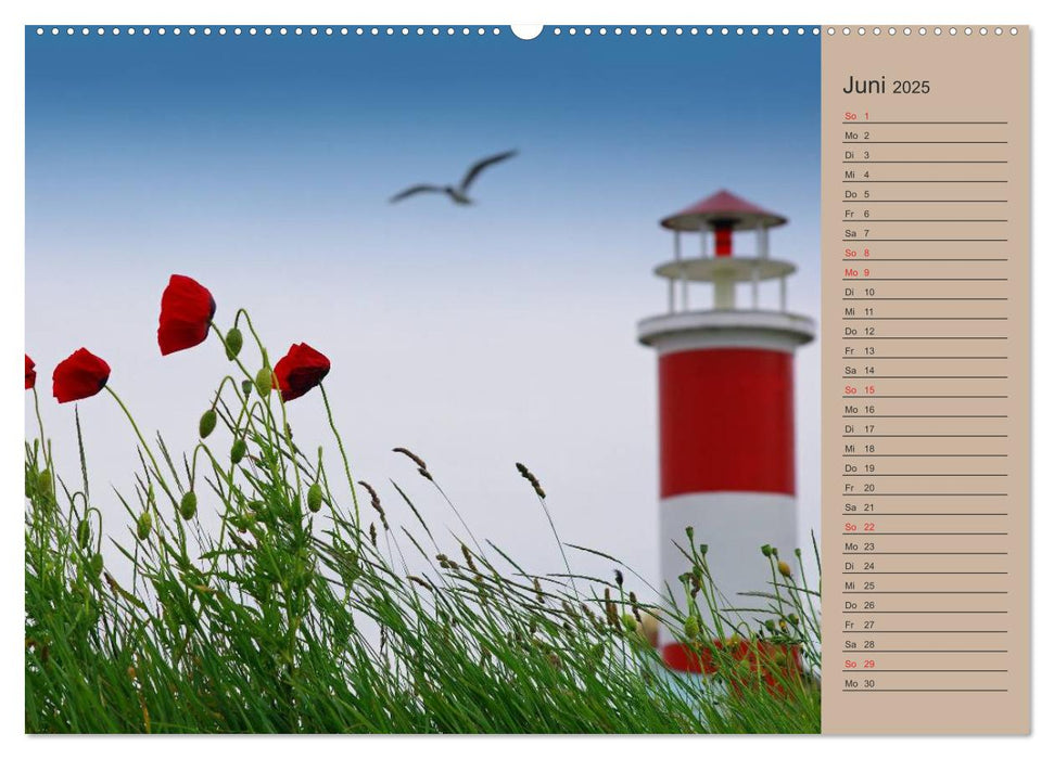 Natur Bilder Kalender (CALVENDO Premium Wandkalender 2025)