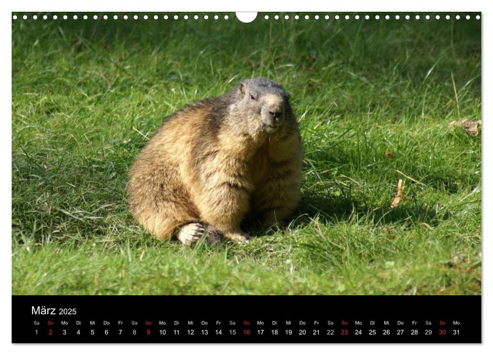 Die Welt der Berge (CALVENDO Wandkalender 2025)