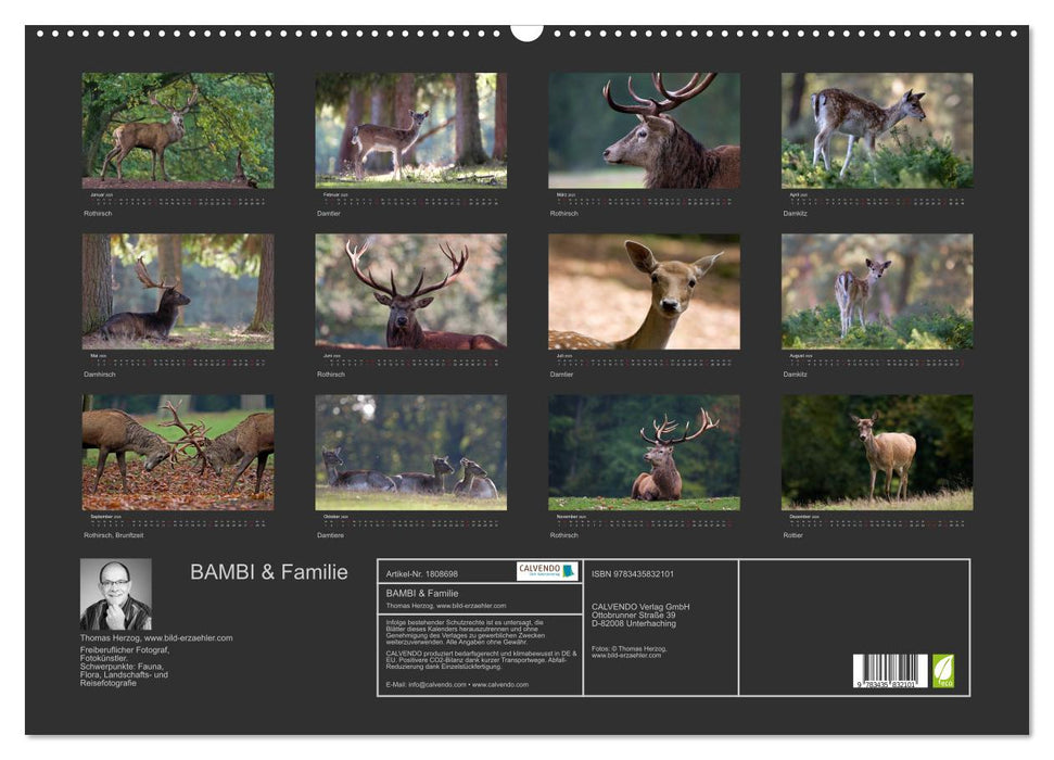 BAMBI & Familie (CALVENDO Wandkalender 2025)