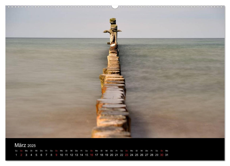 Natur und Meer auf dem Darß (CALVENDO Premium Wandkalender 2025)