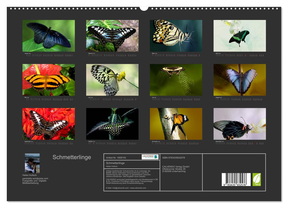 Schmetterlinge (CALVENDO Premium Wandkalender 2025)
