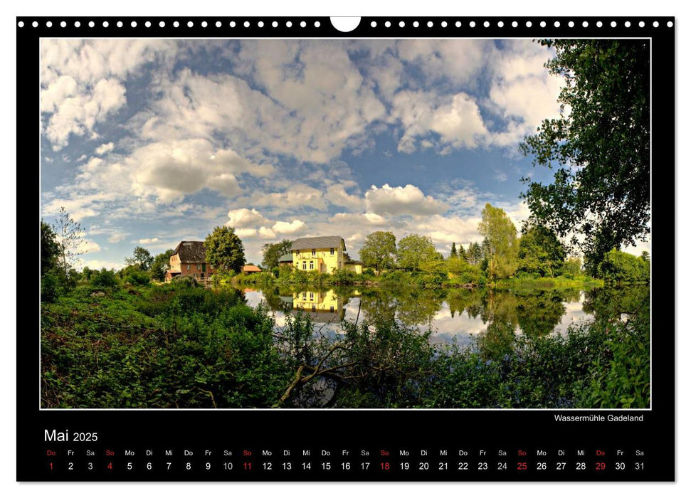 Neumünster - Meine Stadt (CALVENDO Wandkalender 2025)