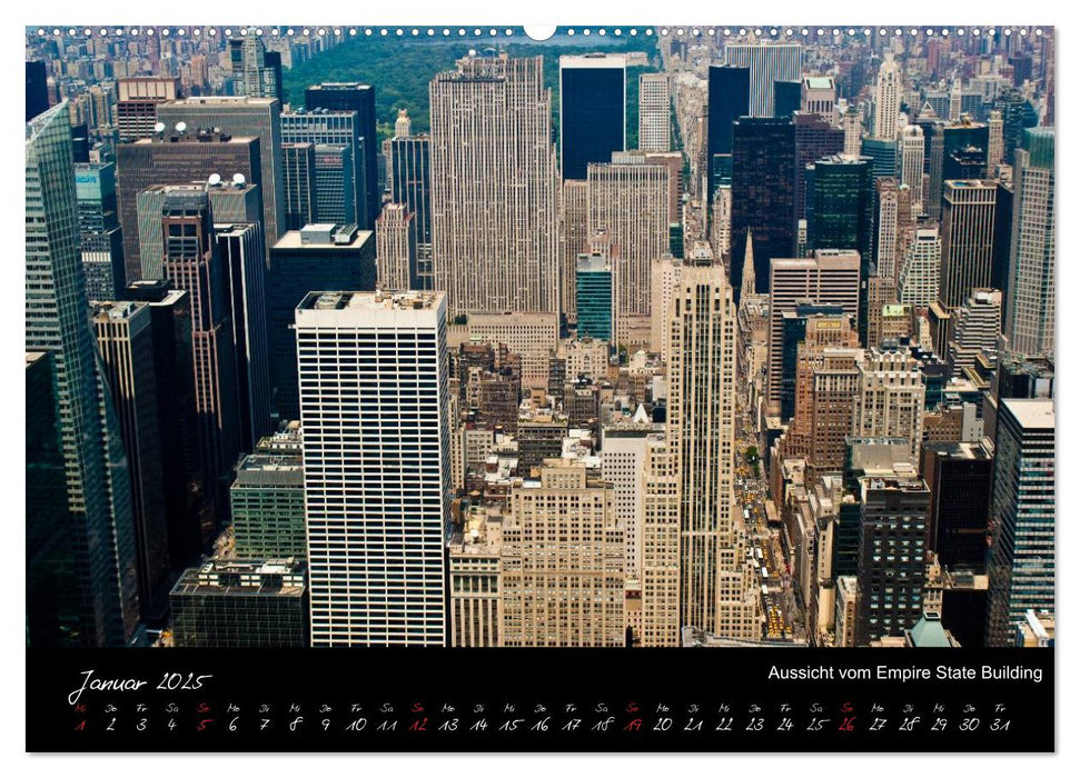 Ansichten einer Stadt: New York (CALVENDO Premium Wandkalender 2025)