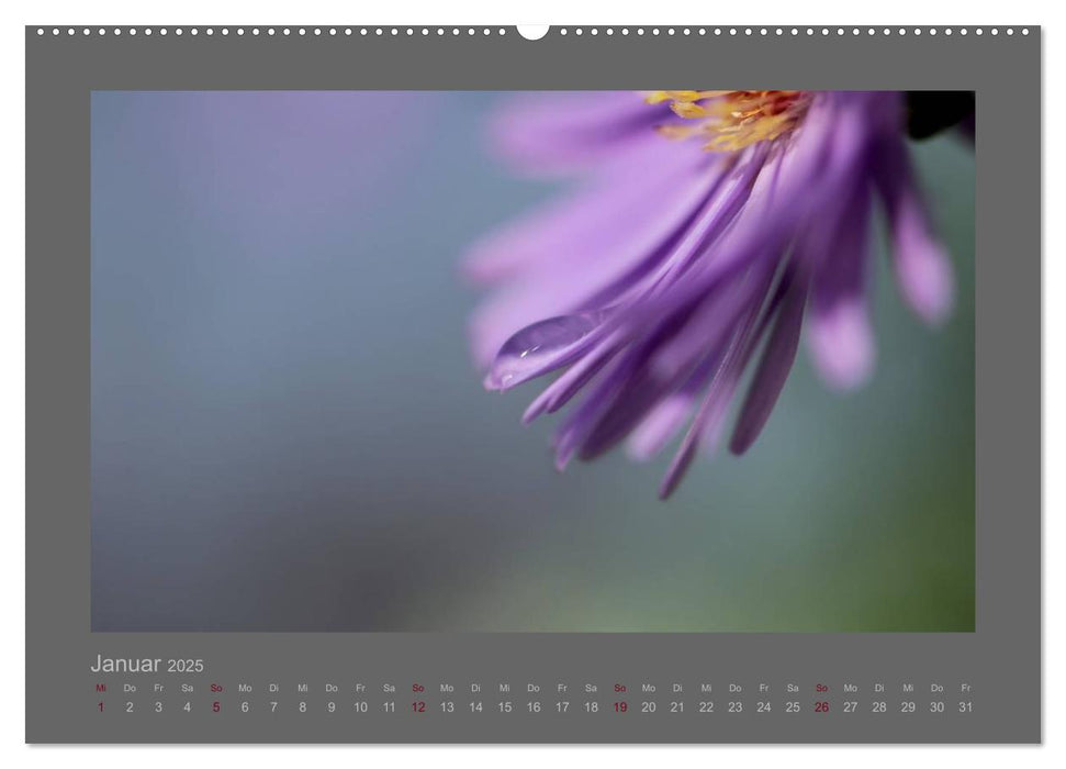 Kleine, große Tropfenwelt (CALVENDO Premium Wandkalender 2025)