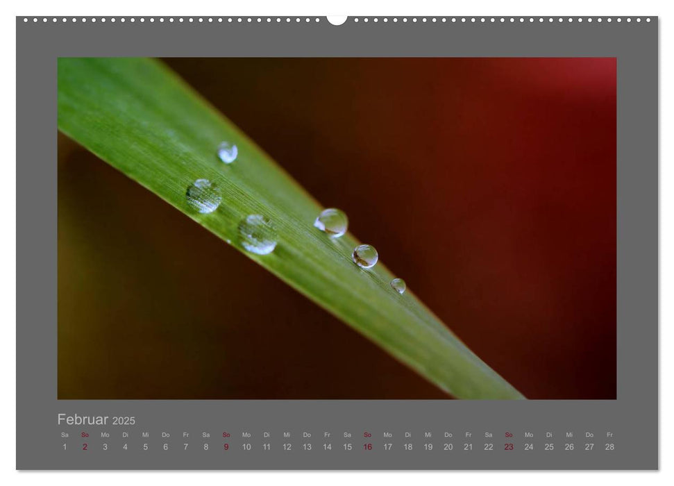 Kleine, große Tropfenwelt (CALVENDO Premium Wandkalender 2025)