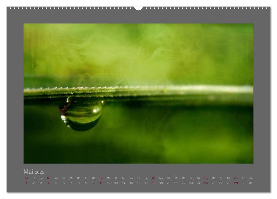 Kleine, große Tropfenwelt (CALVENDO Premium Wandkalender 2025)