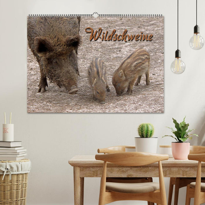 Wildschweine (CALVENDO Wandkalender 2025)