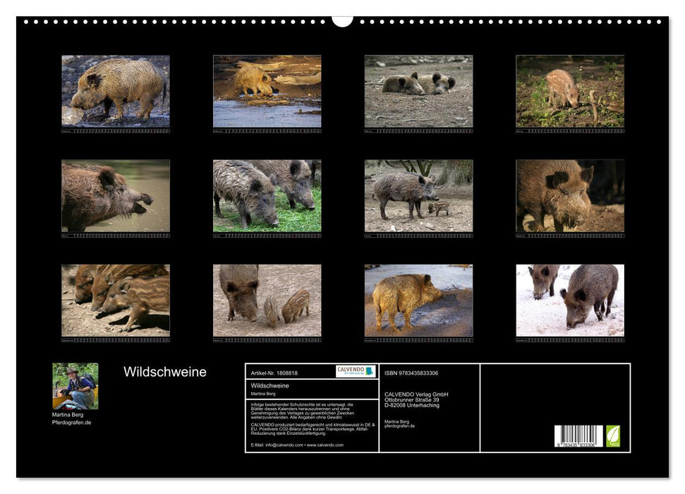 Wildschweine (CALVENDO Wandkalender 2025)