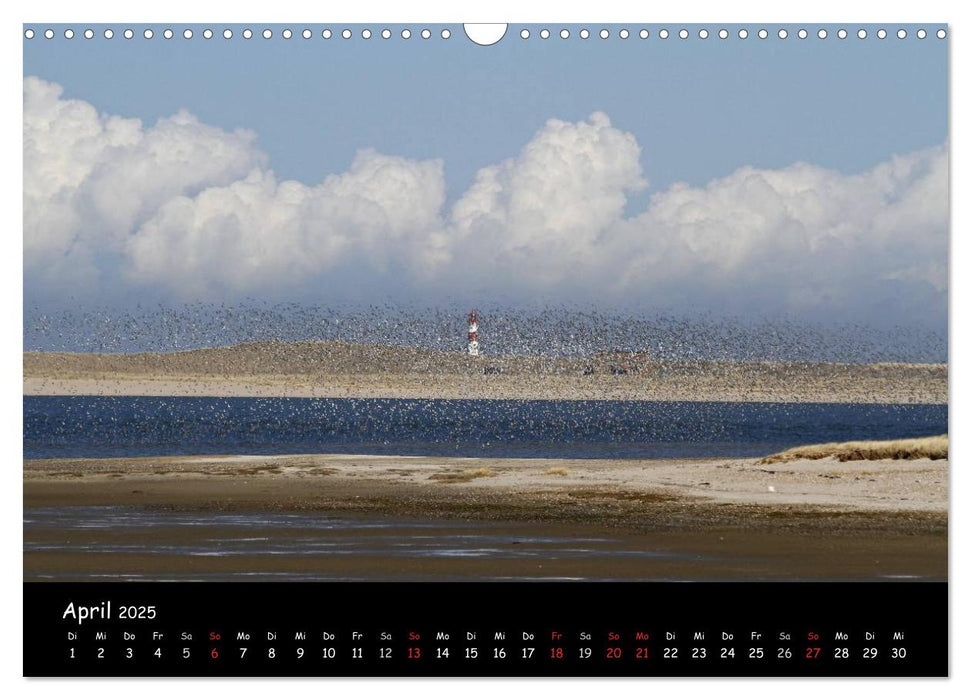 Sylt (CALVENDO Wandkalender 2025)