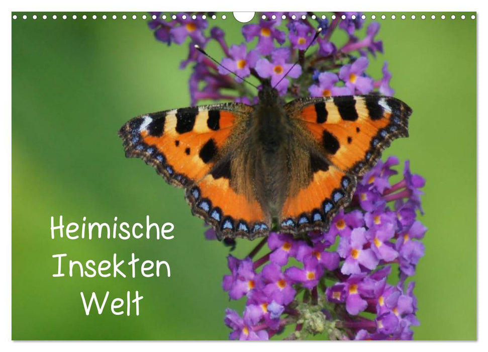 Heimische Insekten Welten (CALVENDO Wandkalender 2025)