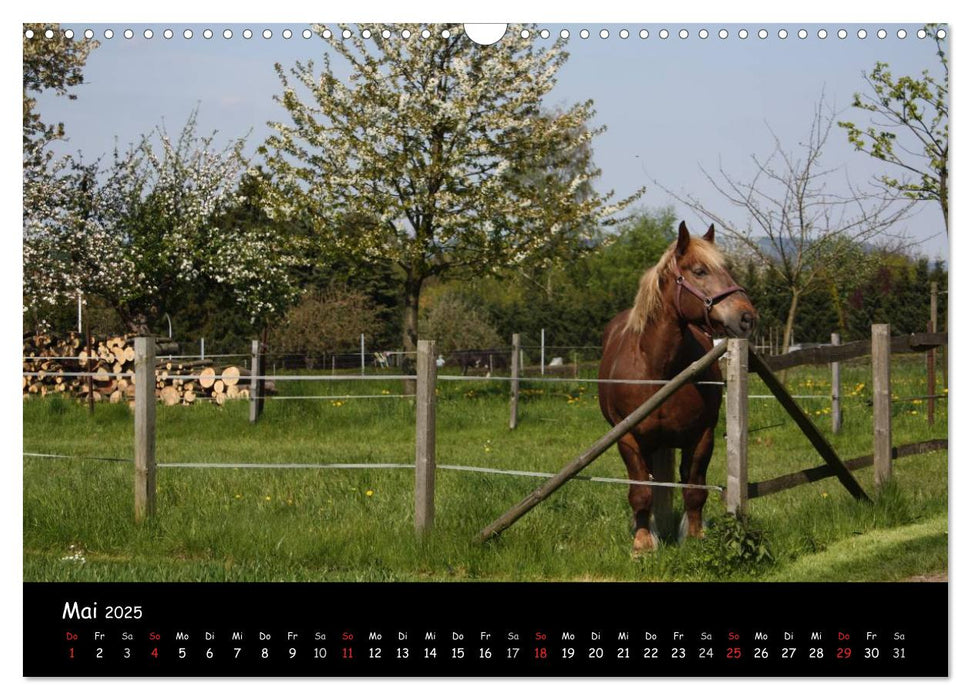 Idyllisches Landleben (CALVENDO Wandkalender 2025)