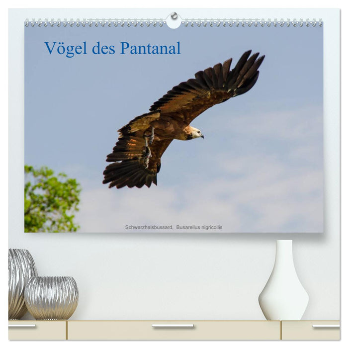 Vögel des Pantanal (CALVENDO Premium Wandkalender 2025)