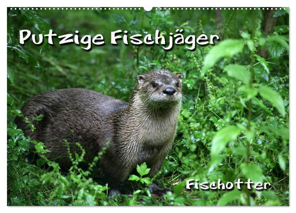 Putzige Fischjäger (CALVENDO Wandkalender 2025)