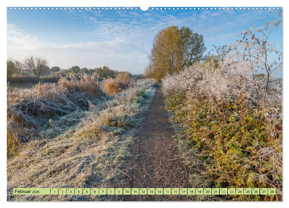 Grünes Halle/Saale - Meine wilde Händelstadt (CALVENDO Premium Wandkalender 2025)