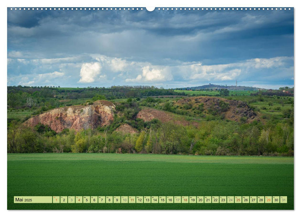 Grünes Halle/Saale - Meine wilde Händelstadt (CALVENDO Premium Wandkalender 2025)