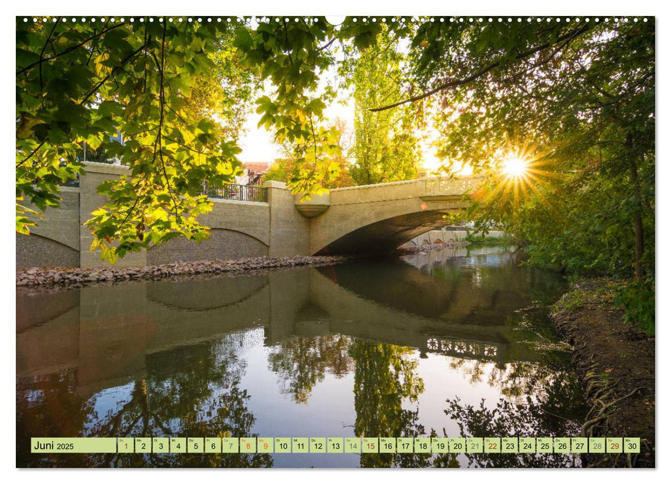 Grünes Halle/Saale - Meine wilde Händelstadt (CALVENDO Premium Wandkalender 2025)