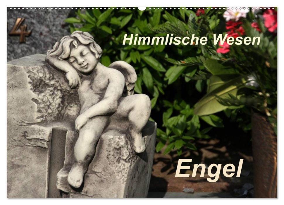 Engel (CALVENDO Wandkalender 2025)