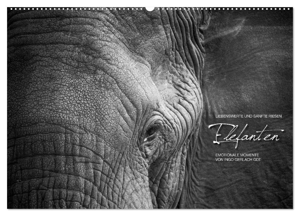 Emotionale Momente: Elefanten in black & white (CALVENDO Wandkalender 2025)