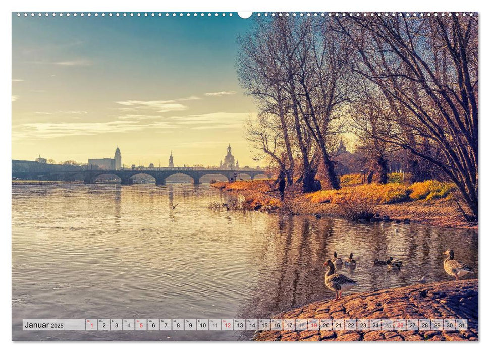 Dresden - Perle des Barock (CALVENDO Premium Wandkalender 2025)