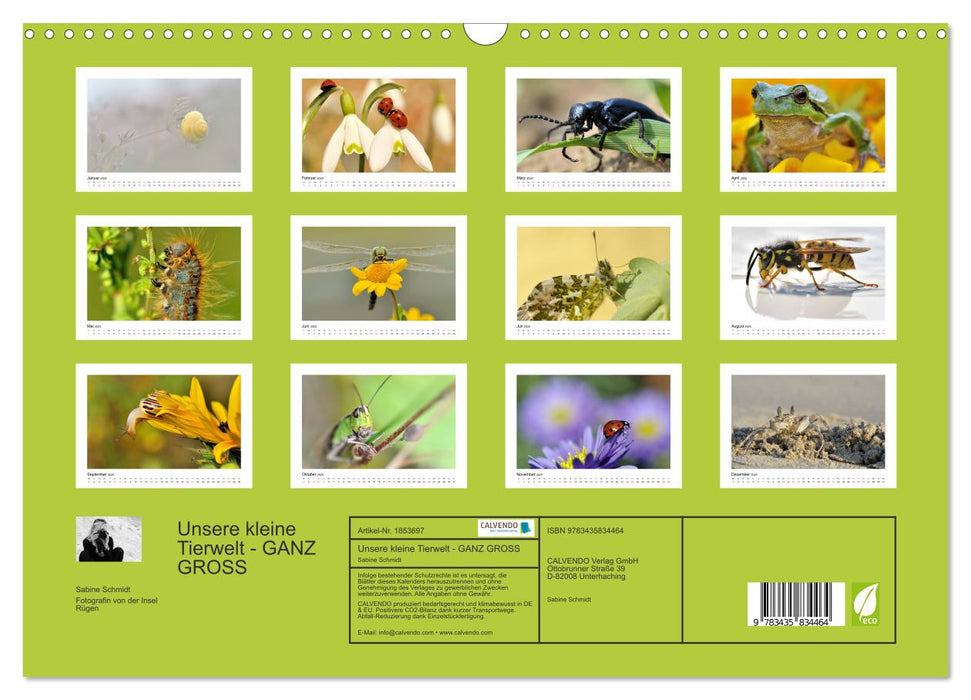 Unsere kleine Tierwelt - GANZ GROSS (CALVENDO Wandkalender 2025)