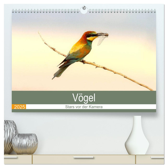 Vögel Stars vor der Kamera (CALVENDO Premium Wandkalender 2025)