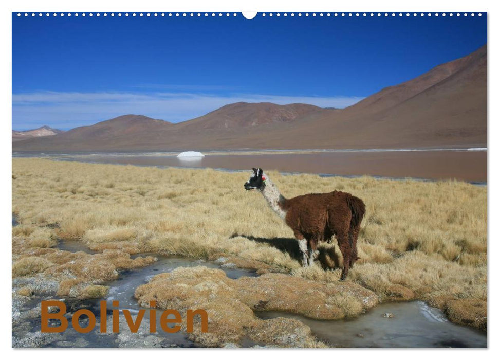 Bolivien (CALVENDO Wandkalender 2025)