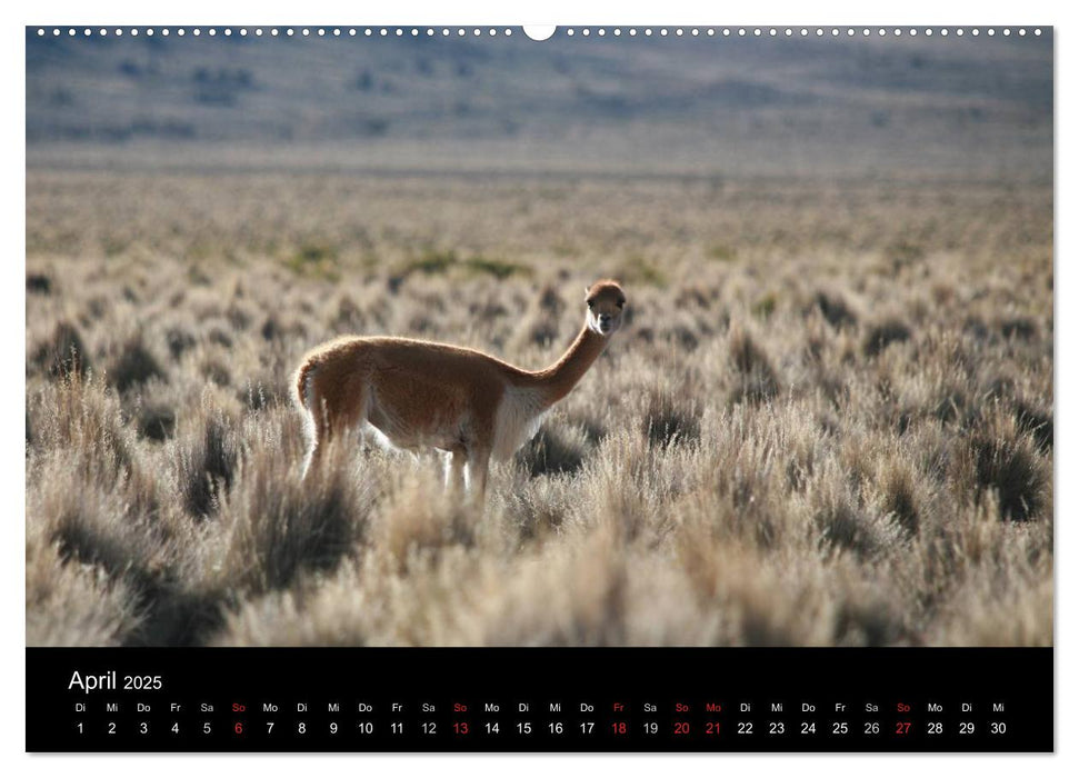 Bolivien (CALVENDO Wandkalender 2025)