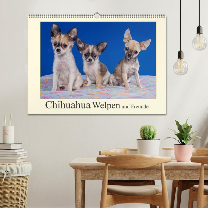 Chihuahua Welpen und Freunde (CALVENDO Wandkalender 2025)